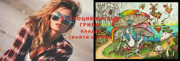 крисы Краснотурьинск