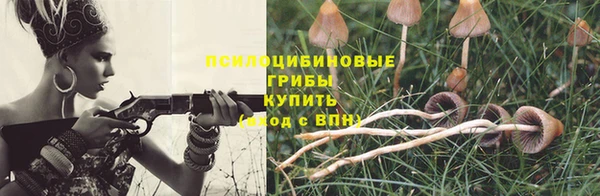 PSILOCYBIN Куйбышев