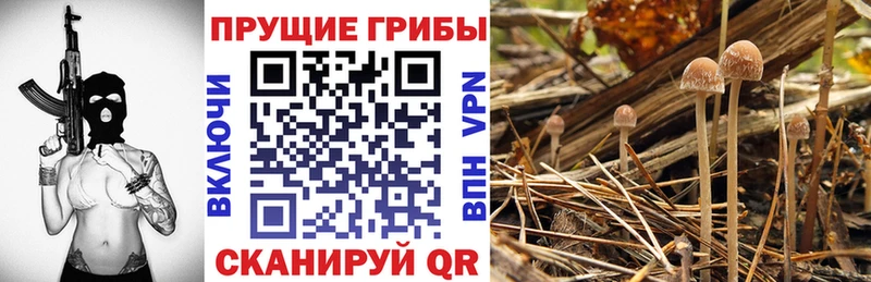 Галлюциногенные грибы Magic Shrooms  Красный Кут 